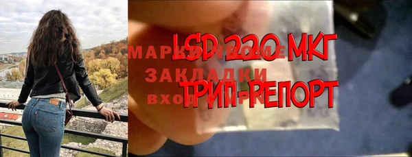 PSILOCYBIN Балабаново