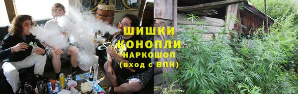 PSILOCYBIN Балабаново