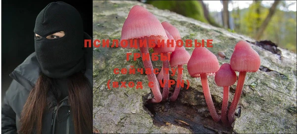 сатива Армянск