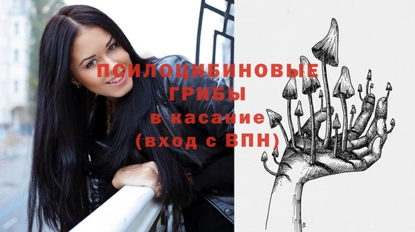 не бодяженный Аркадак