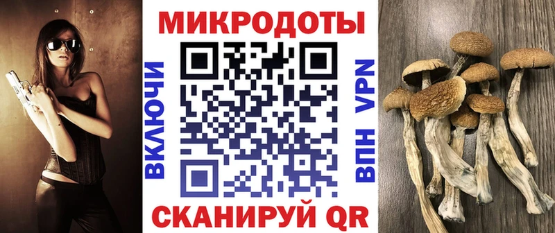 Псилоцибиновые грибы мухоморы  наркотики  Заозёрск 